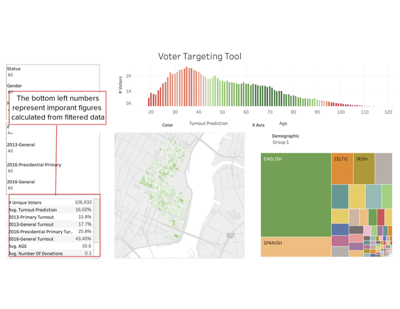 Voter Distribution by Turnout and Demographics